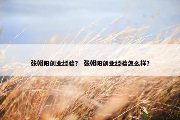 张朝阳创业经验？ 张朝阳创业经验怎么样？