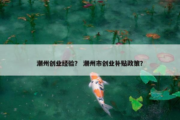 潮州创业经验？ 潮州市创业补贴政策？