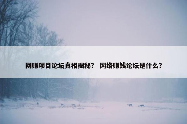 网赚项目论坛真相揭秘？ 网络赚钱论坛是什么？