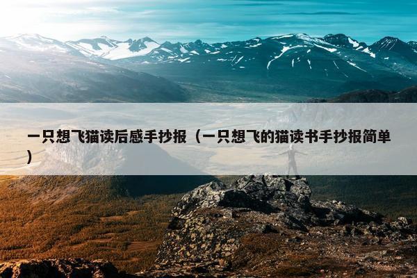 一只想飞猫读后感手抄报（一只想飞的猫读书手抄报简单）