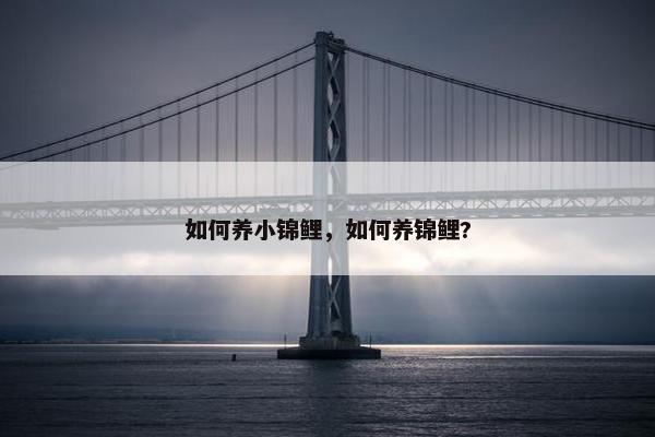 如何养小锦鲤，如何养锦鲤?