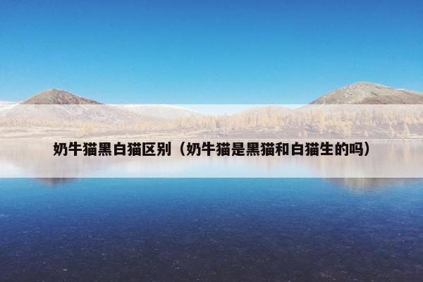 奶牛猫黑白猫区别（奶牛猫是黑猫和白猫生的吗）