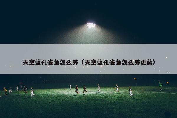 天空蓝孔雀鱼怎么养（天空蓝孔雀鱼怎么养更蓝）