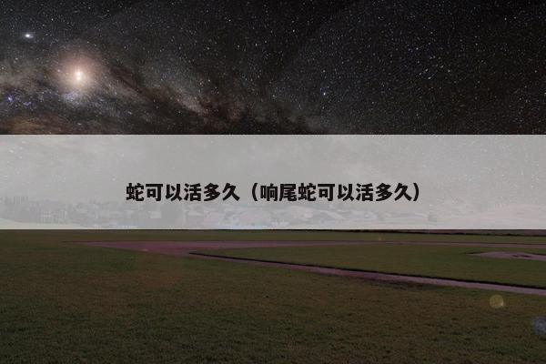 蛇可以活多久（响尾蛇可以活多久）