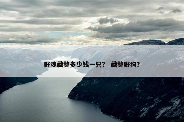 野魂藏獒多少钱一只？ 藏獒野狗？