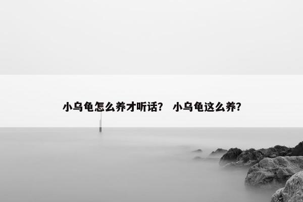 小乌龟怎么养才听话？ 小乌龟这么养？