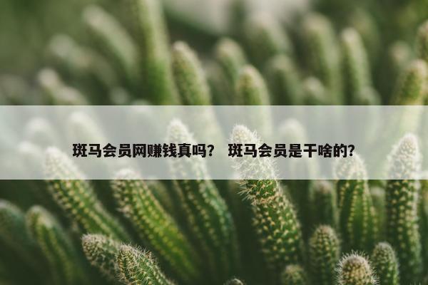斑马会员网赚钱真吗？ 斑马会员是干啥的？