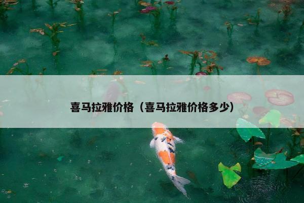 喜马拉雅价格（喜马拉雅价格多少）