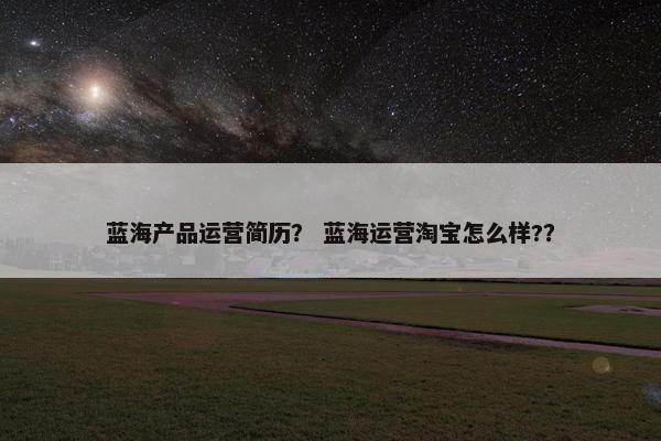 蓝海产品运营简历？ 蓝海运营淘宝怎么样?？