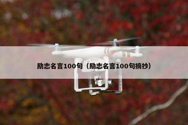 励志名言100句（励志名言100句摘抄）