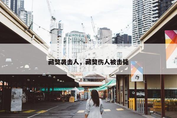 藏獒袭击人，藏獒伤人被击毙