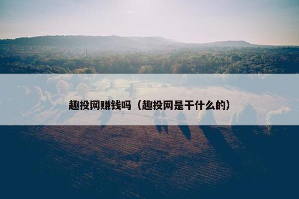 趣投网赚钱吗（趣投网是干什么的）