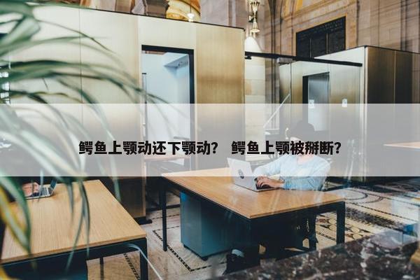 鳄鱼上颚动还下颚动？ 鳄鱼上颚被掰断？