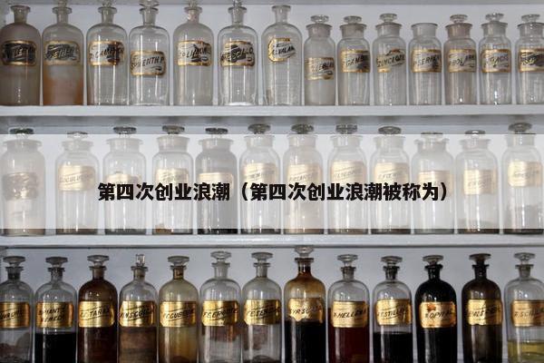 第四次创业浪潮（第四次创业浪潮被称为）
