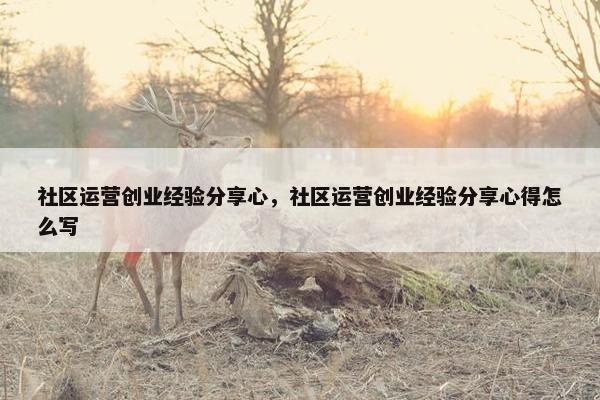 社区运营创业经验分享心，社区运营创业经验分享心得怎么写