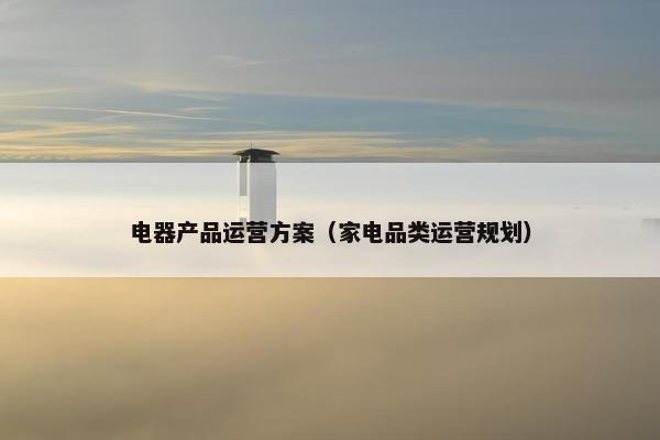 电器产品运营方案（家电品类运营规划）