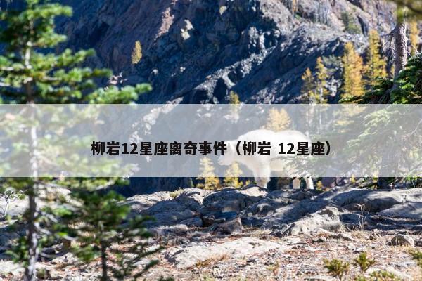 柳岩12星座离奇事件（柳岩 12星座）