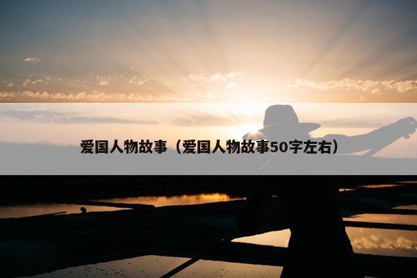 爱国人物故事（爱国人物故事50字左右）