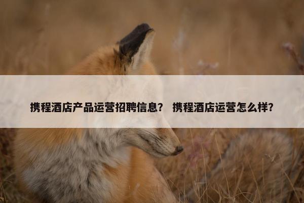 携程酒店产品运营招聘信息？ 携程酒店运营怎么样？