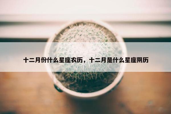 十二月份什么星座农历，十二月是什么星座阴历