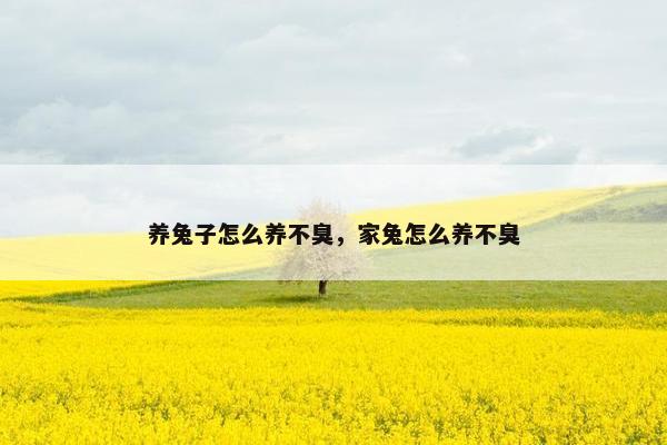 养兔子怎么养不臭，家兔怎么养不臭