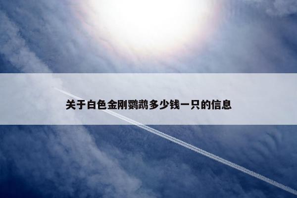 关于白色金刚鹦鹉多少钱一只的信息