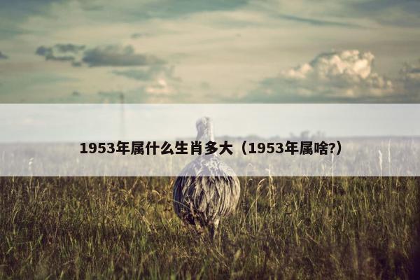 1953年属什么生肖多大（1953年属啥?）