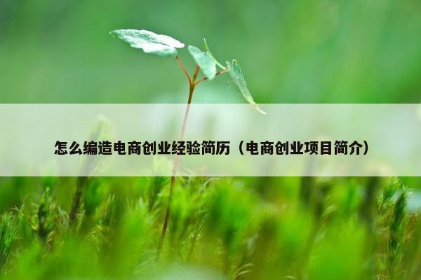 怎么编造电商创业经验简历（电商创业项目简介）
