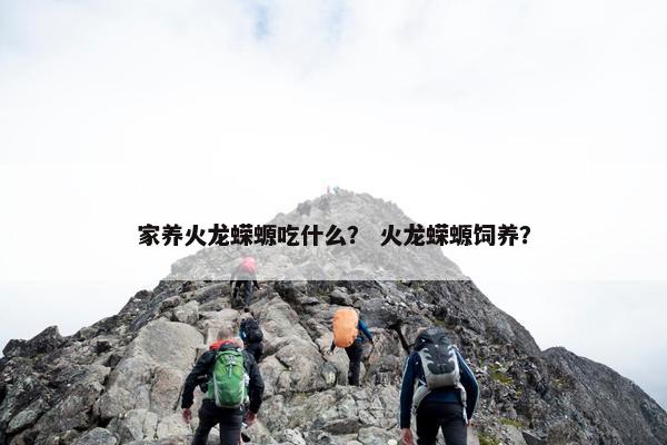 家养火龙蝾螈吃什么？ 火龙蝾螈饲养？