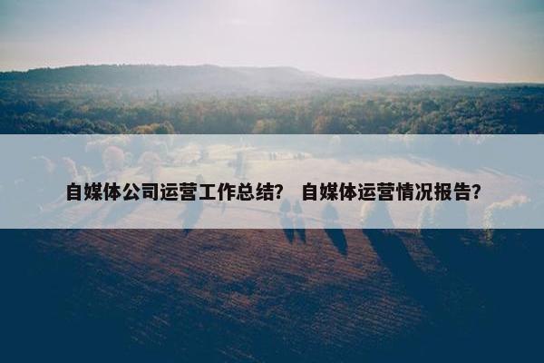 自媒体公司运营工作总结？ 自媒体运营情况报告？