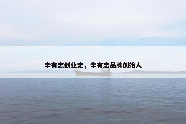 辛有志创业史，辛有志品牌创始人