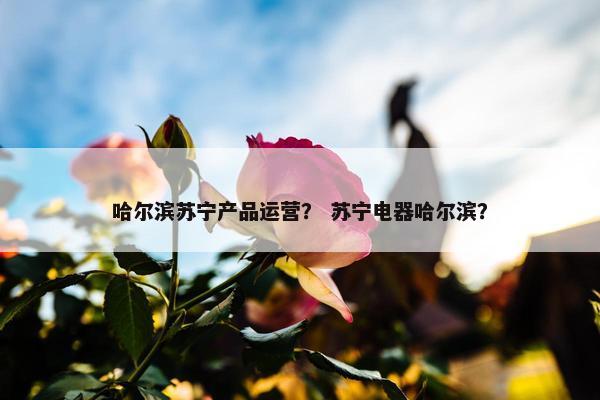 哈尔滨苏宁产品运营？ 苏宁电器哈尔滨？