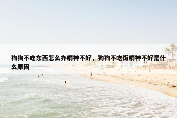 狗狗不吃东西怎么办精神不好，狗狗不吃饭精神不好是什么原因