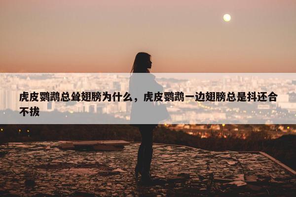 虎皮鹦鹉总耸翅膀为什么，虎皮鹦鹉一边翅膀总是抖还合不拔