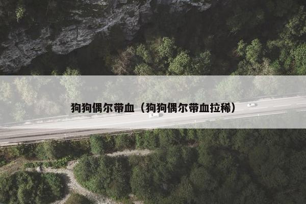 狗狗偶尔带血（狗狗偶尔带血拉稀）