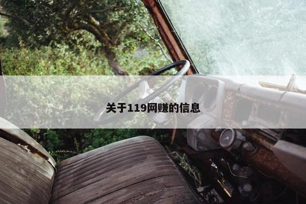 关于119网赚的信息