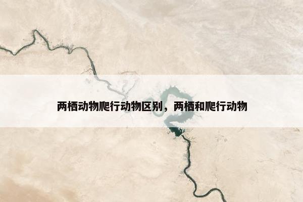 两栖动物爬行动物区别，两栖和爬行动物