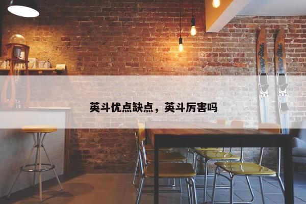 英斗优点缺点，英斗厉害吗