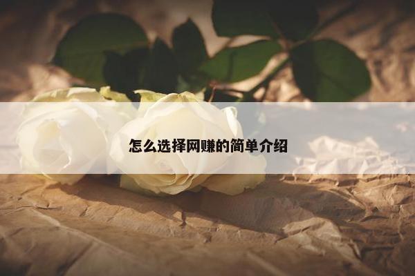 怎么选择网赚的简单介绍