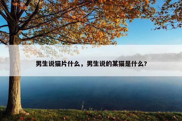 男生说猫片什么，男生说的某猫是什么?