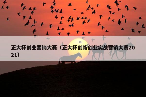 正大杯创业营销大赛（正大杯创新创业实战营销大赛2021）