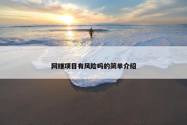 网赚项目有风险吗的简单介绍