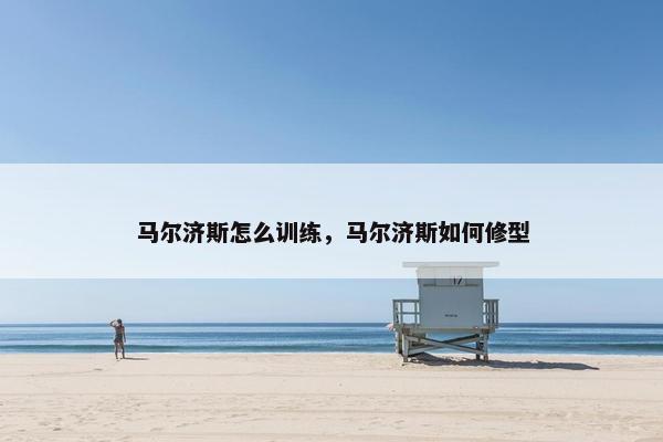 马尔济斯怎么训练，马尔济斯如何修型