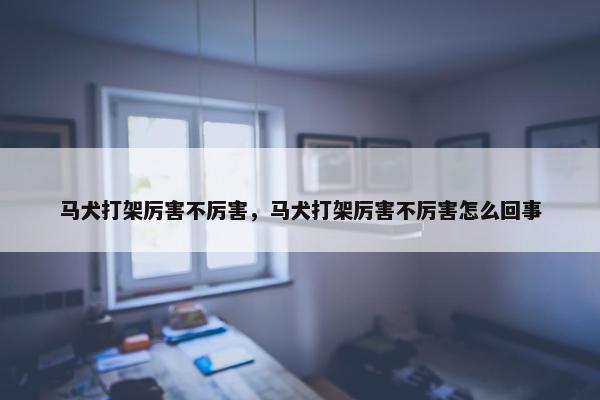 马犬打架厉害不厉害，马犬打架厉害不厉害怎么回事