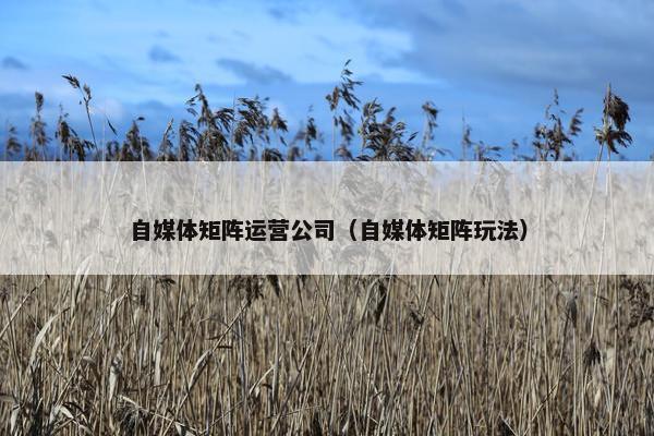 自媒体矩阵运营公司（自媒体矩阵玩法）