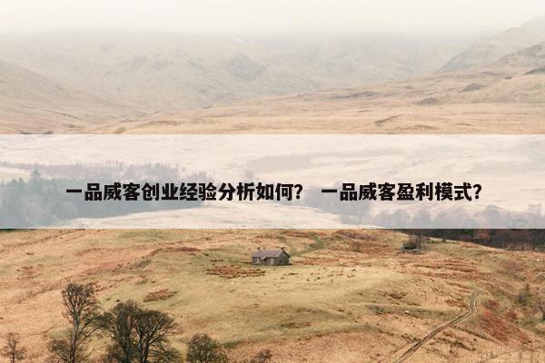 一品威客创业经验分析如何？ 一品威客盈利模式？