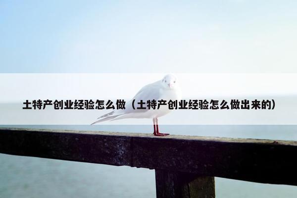 土特产创业经验怎么做（土特产创业经验怎么做出来的）