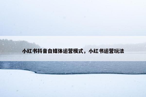 小红书抖音自媒体运营模式，小红书运营玩法