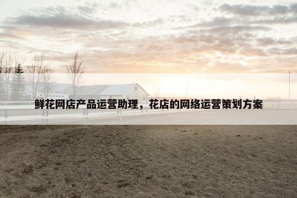 鲜花网店产品运营助理，花店的网络运营策划方案