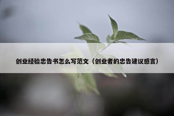 创业经验忠告书怎么写范文（创业者的忠告建议感言）